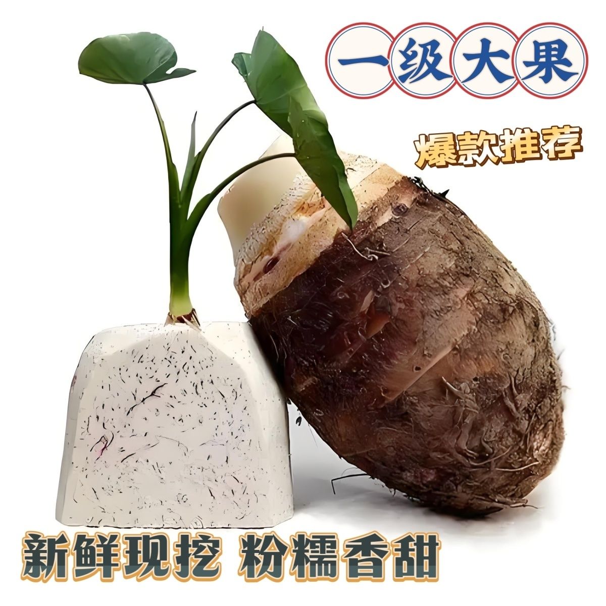 广东潮汕芋新鲜现挖粉糯香甜可蒸煮油炸切片特产