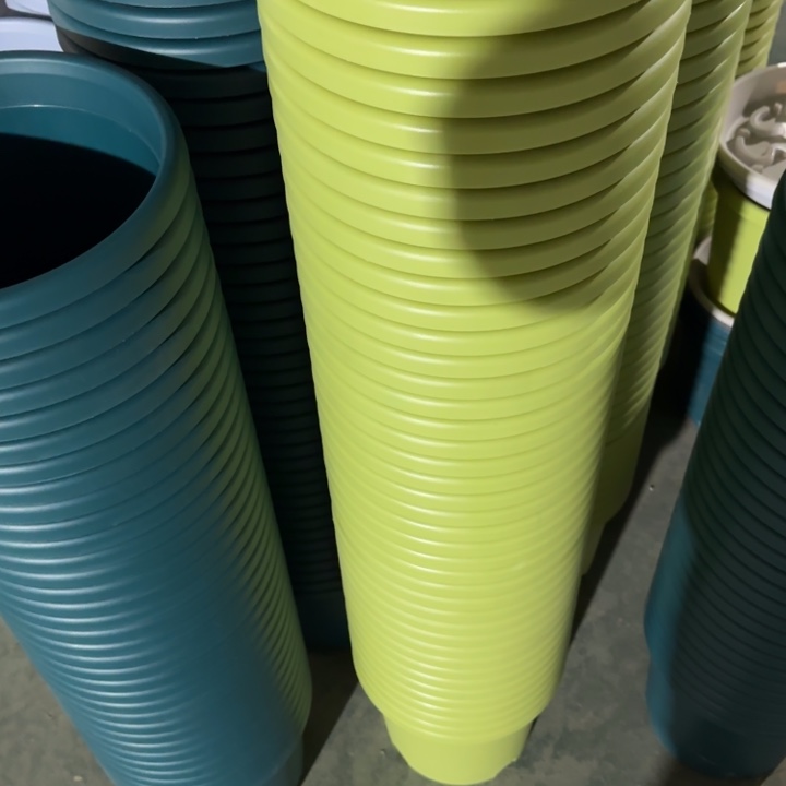 芝***圆四季3号10个果绿色口径21花盆