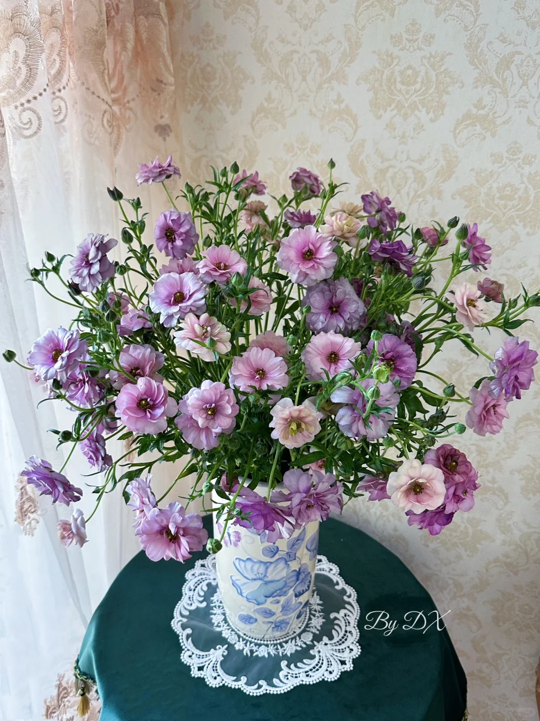 婵之语优选    乌梅子酱蝴蝶洋牡丹直发