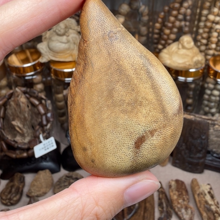 沉香沉香碎屑文莱沉香随型12.7克