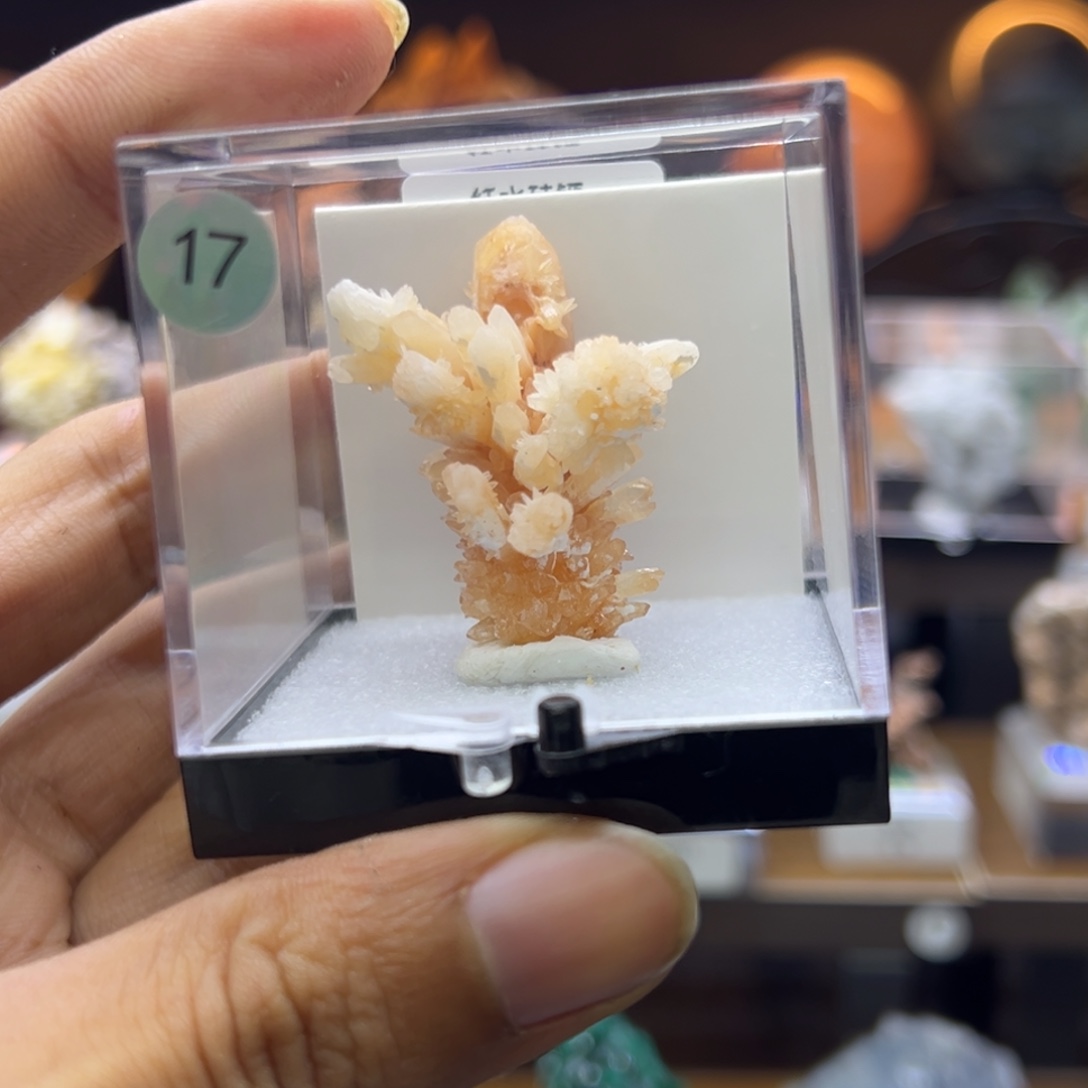 孙***明石材直播链接121212