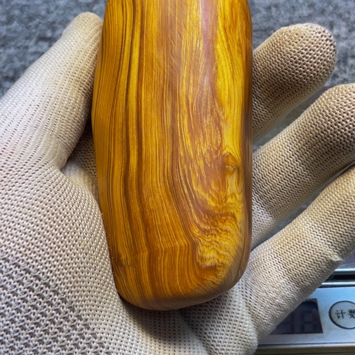 柏木（崖柏）崖柏664