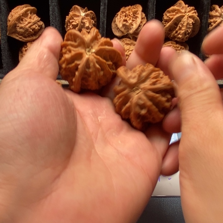 牧***₉手串/手链核桃开播福利200