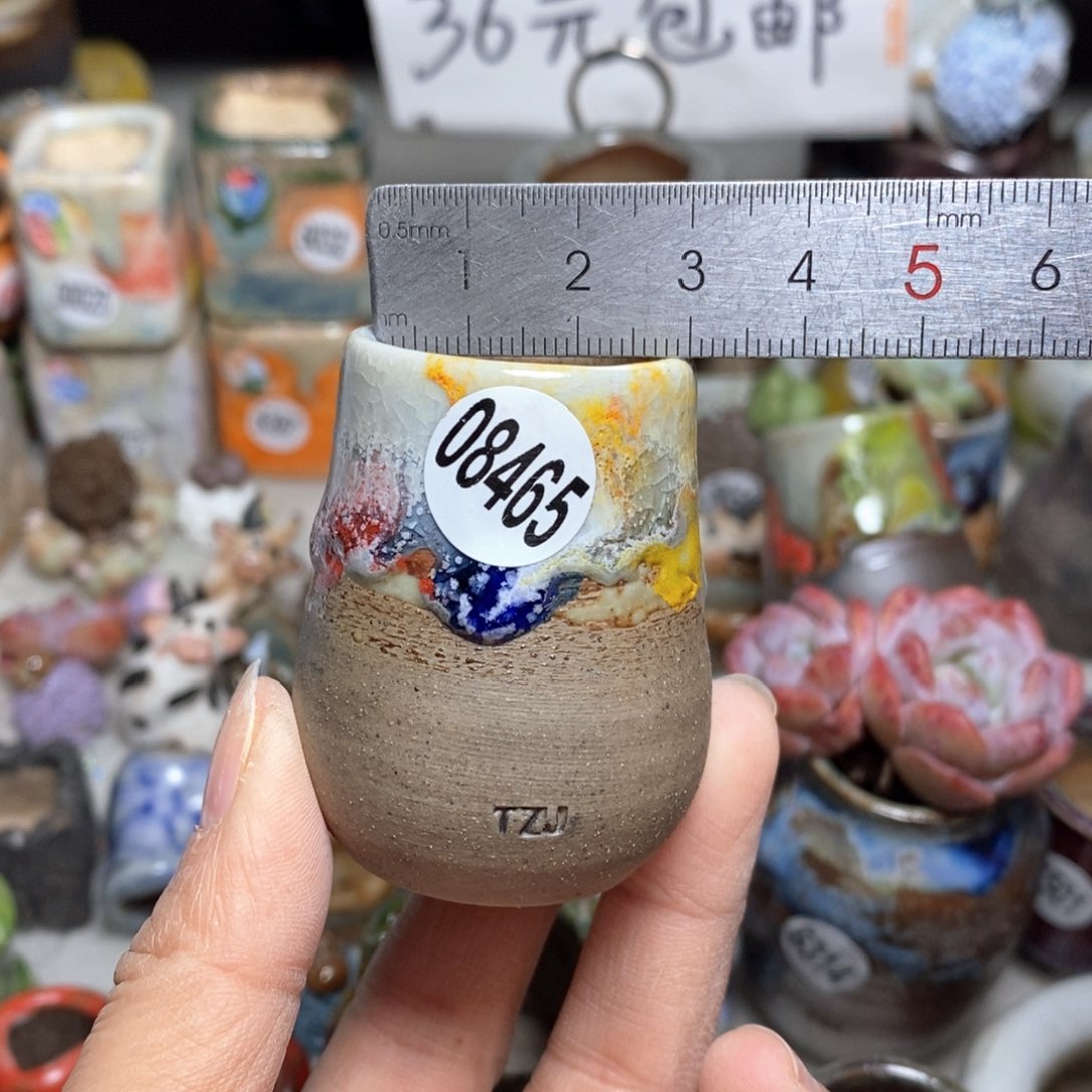 花盆，拍5送一个小礼物