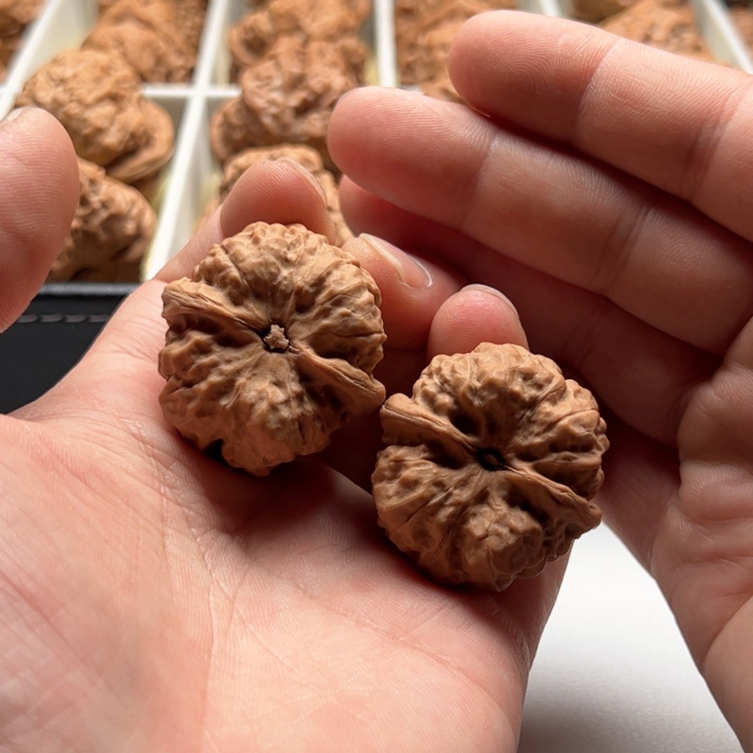 核桃把件大*延庆蛤蟆头