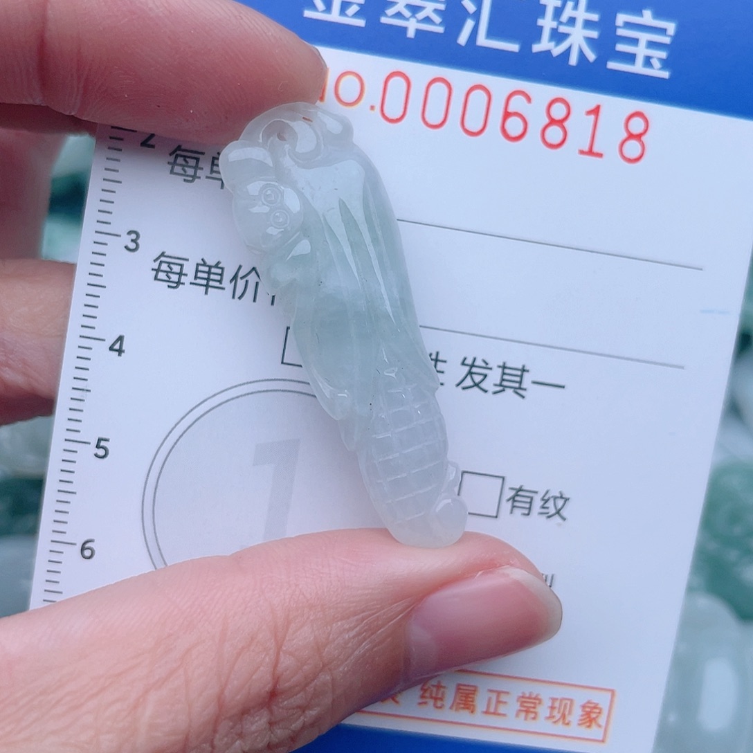 颈饰未镶嵌翡翠6818