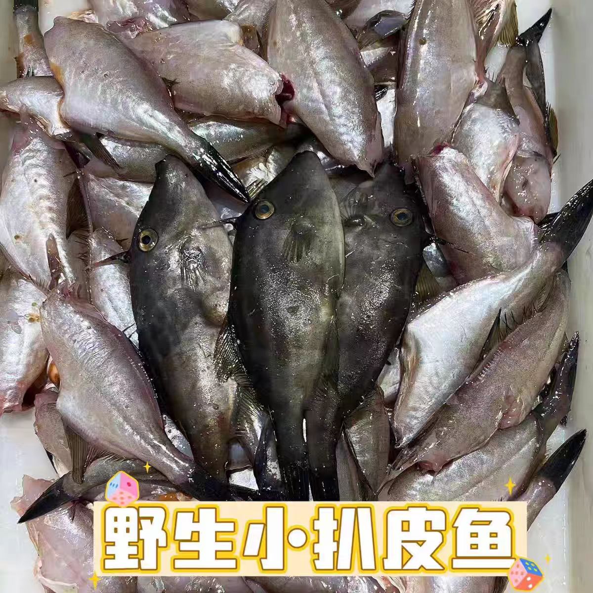 大连发货   扒皮鱼（顺丰发货）大小不均匀介意勿拍