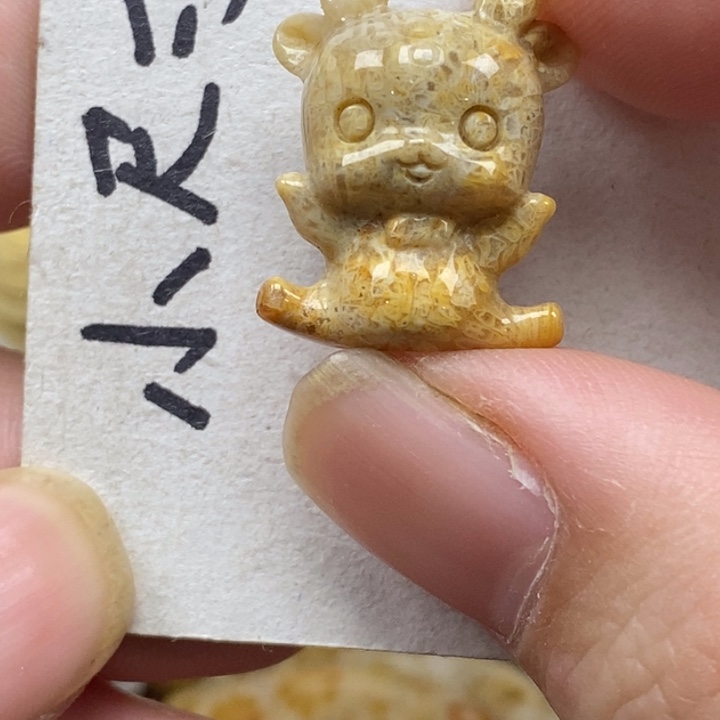 硅化珊瑚（珊瑚玉）未镶嵌颈饰