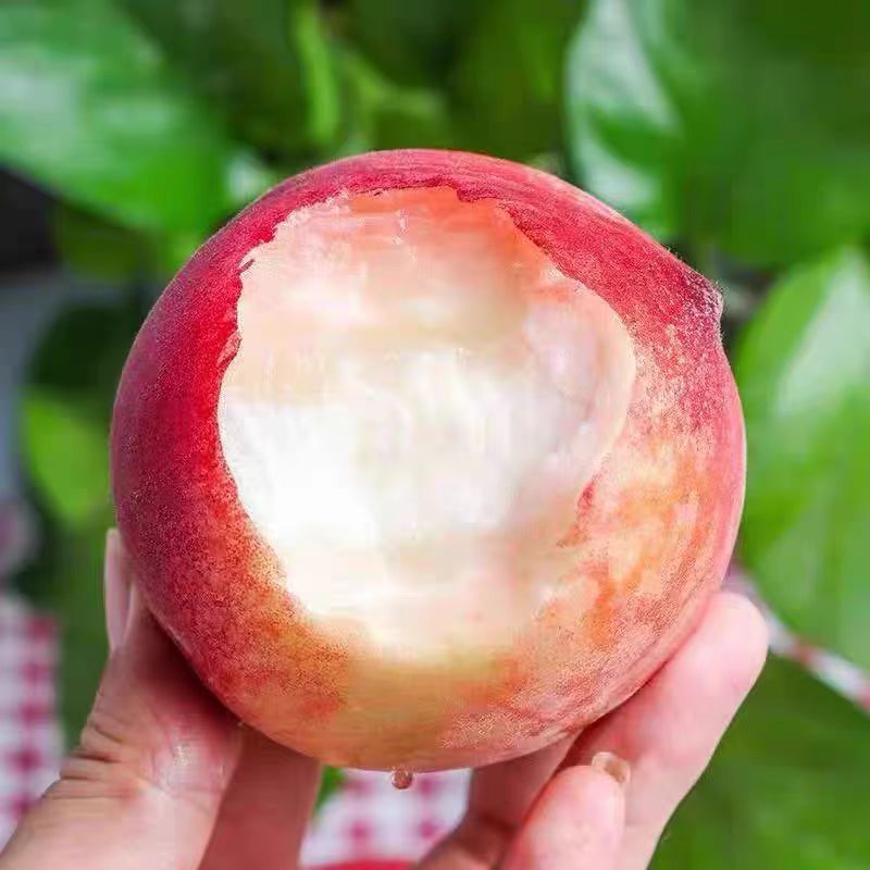 （新疆包邮）桃子水蜜桃子新鲜水果现摘软桃当季整箱脆桃应季毛桃