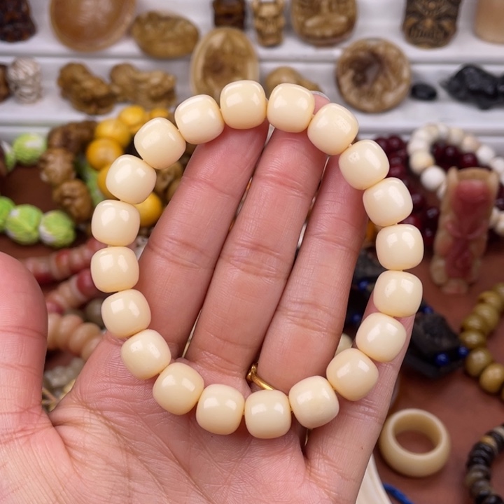 驼骨其他骆驼骨老邢11