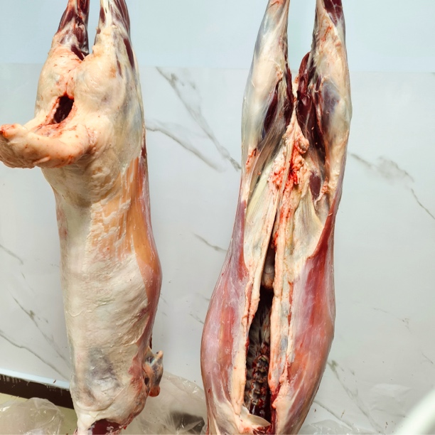 整羊内蒙古散养羔羊肉新鲜顺丰包邮
