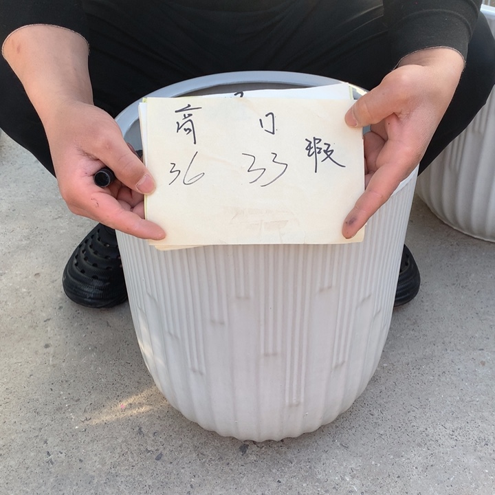 花盆包邮包邮包破损的