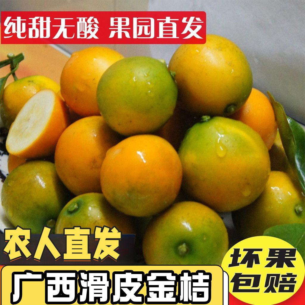 广西K融安脆皮金桔滑皮新鲜水果当季应季金橘产地直发整箱