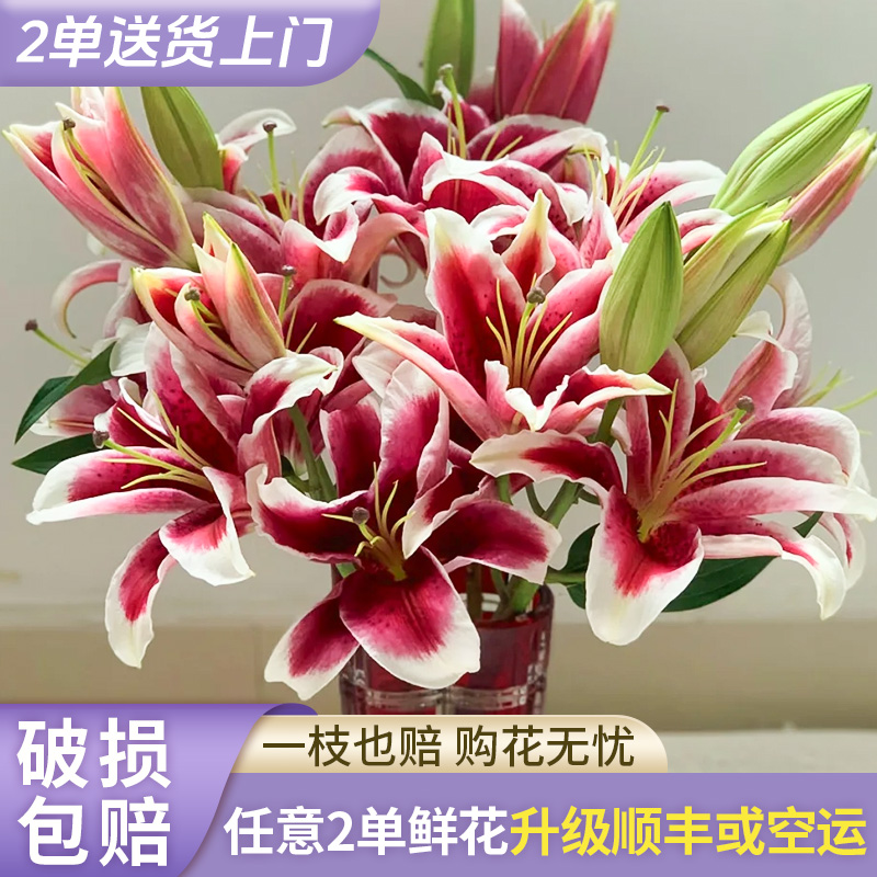 【静静甄选】国王香水百合 任意2单花材 升级快递 发货后不支持退款