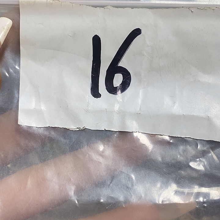 寅***尘最美古村专属链接