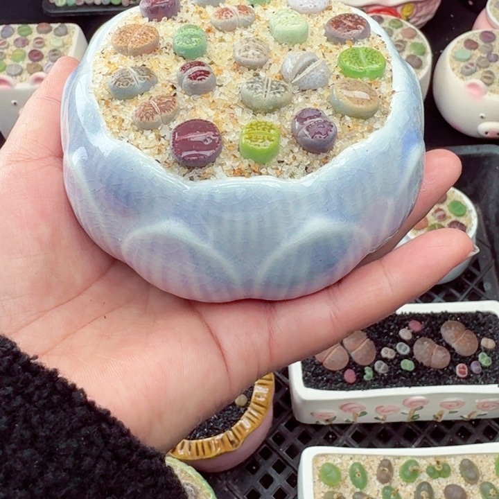 113零下地区记得拍保温箱