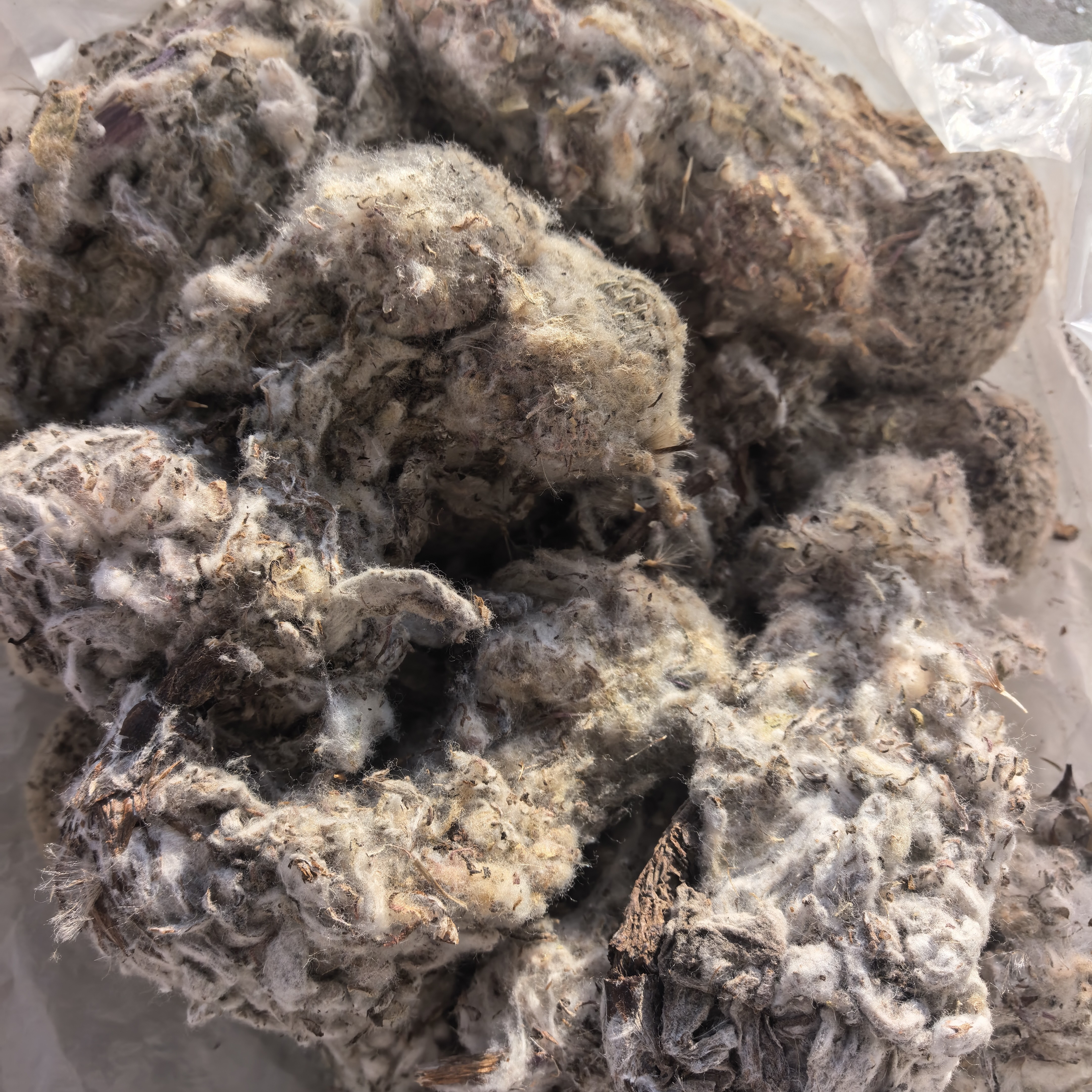 云南滇西土特产、农产品天山～雪莲