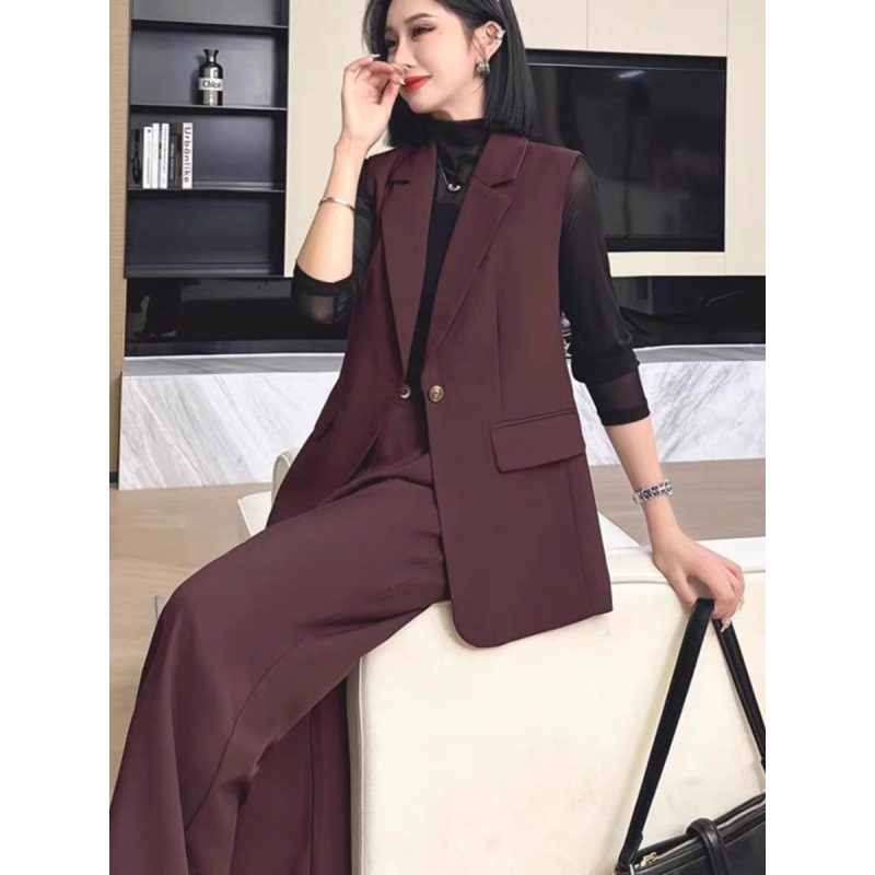 009轻奢气质两件套秋季新款马甲韩版西装直筒阔腿裤