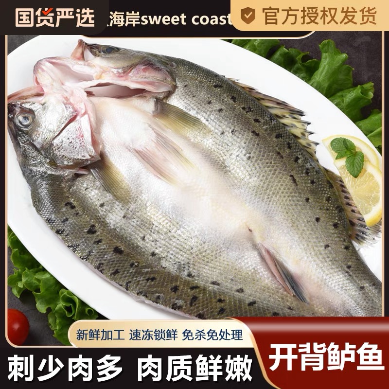 特大一斤左右新鲜现杀开背鲈鱼蒜瓣肉顺丰包邮
