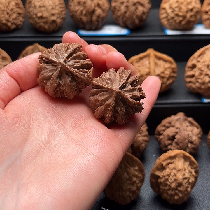 核桃32灯笼四棱不退不换