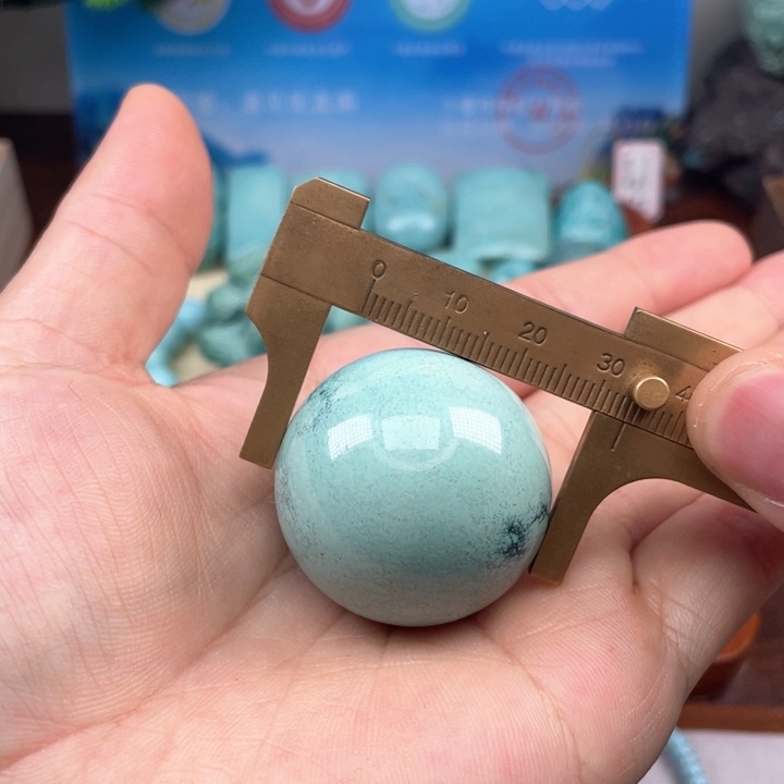 绿松石颈饰未镶嵌