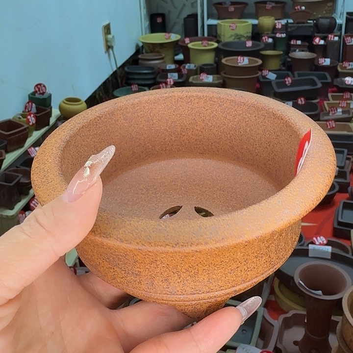 紫砂花盆雅致的小花盆