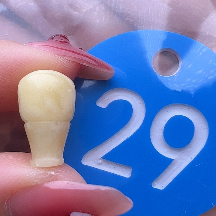 蜜蜡裸石未镶嵌微瑕 8.7mm 三通