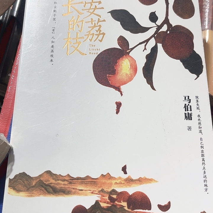 长安的荔枝全新推荐