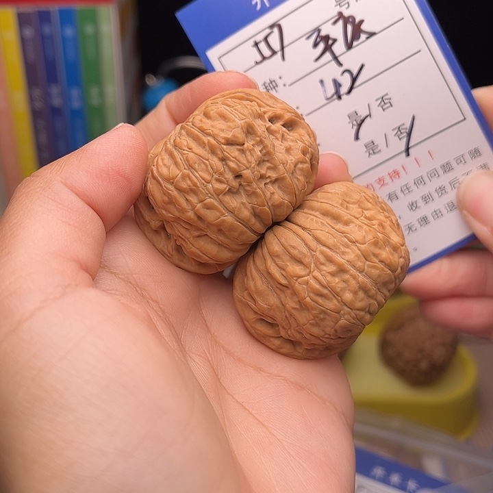 文玩核桃手捻核桃557