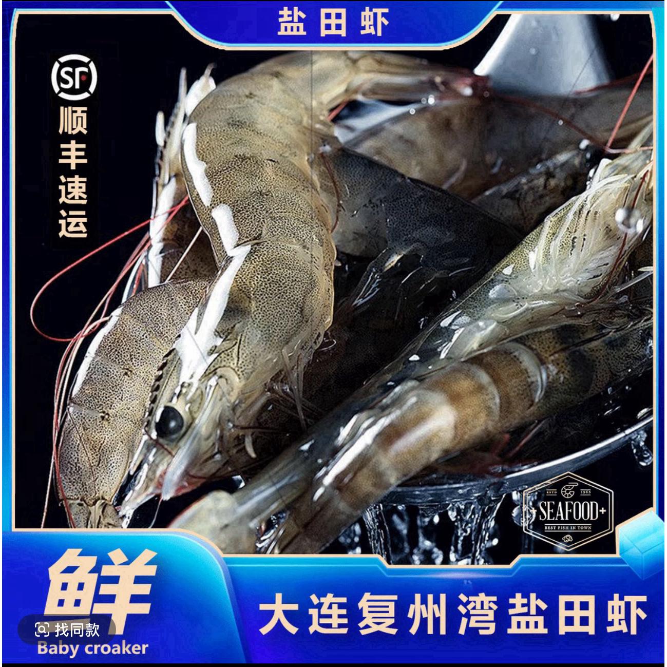 汪子虾大连复洲湾盐田虾3斤顺丰包邮
