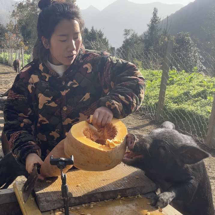 【颜妹妹专属】野二代纯粮食跑山猪