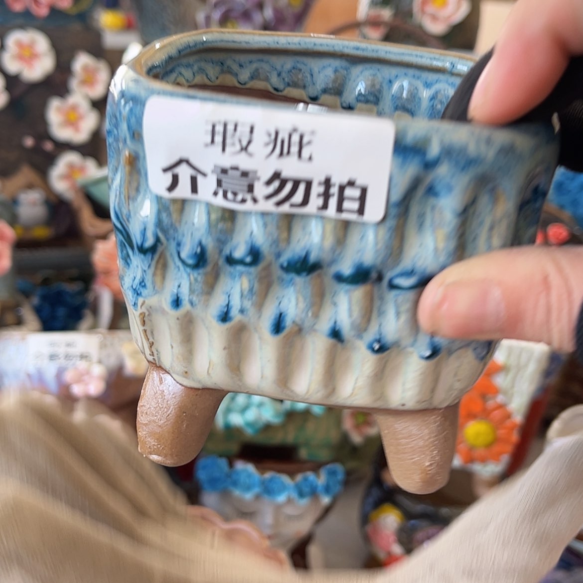 【闪购商品】红陶福利