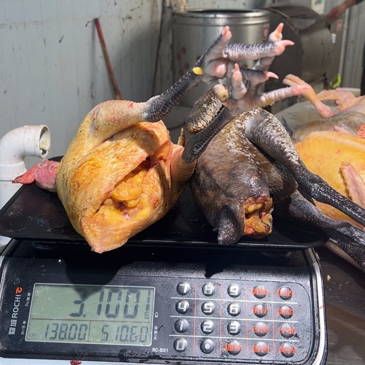一号土鸡食用农产品中国大陆手****4