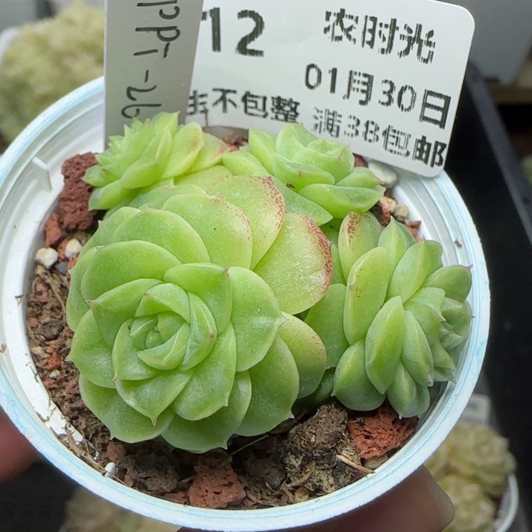 0130-212（PPT-26）