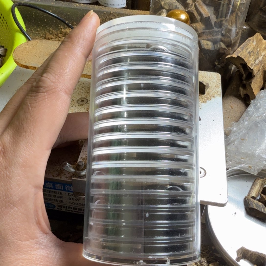 高油脂奇楠沉香大祥云5克装