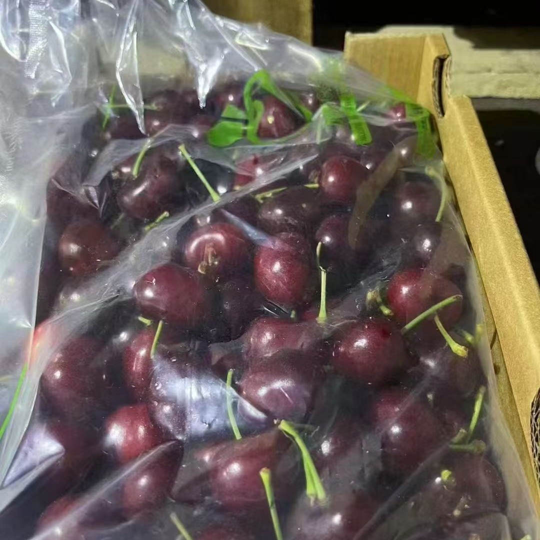 智利车厘子4J鲜果5斤装一件（果身轻微压痕属于正常10颗内坏果不赔）桑提娜智利