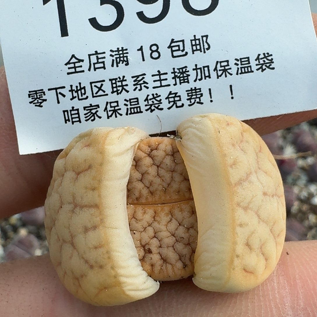 1398 哈哈哈哈哈哈哈哈哈哈哈