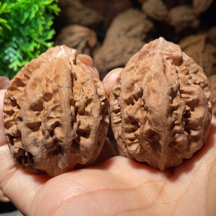 把件文玩核桃东北楸子小雪226