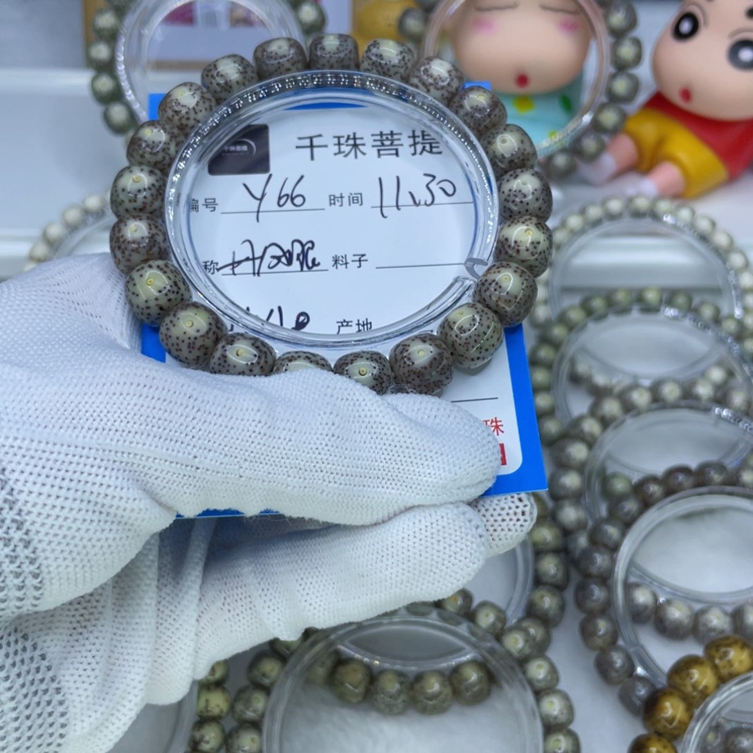 菩提籽类Y66丹凤眼