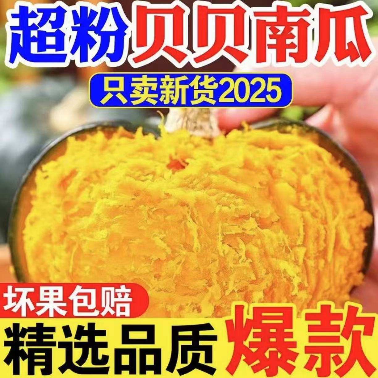 P正宗新鲜贝贝南瓜板栗味粉糯香甜适合孕妇宝宝辅食