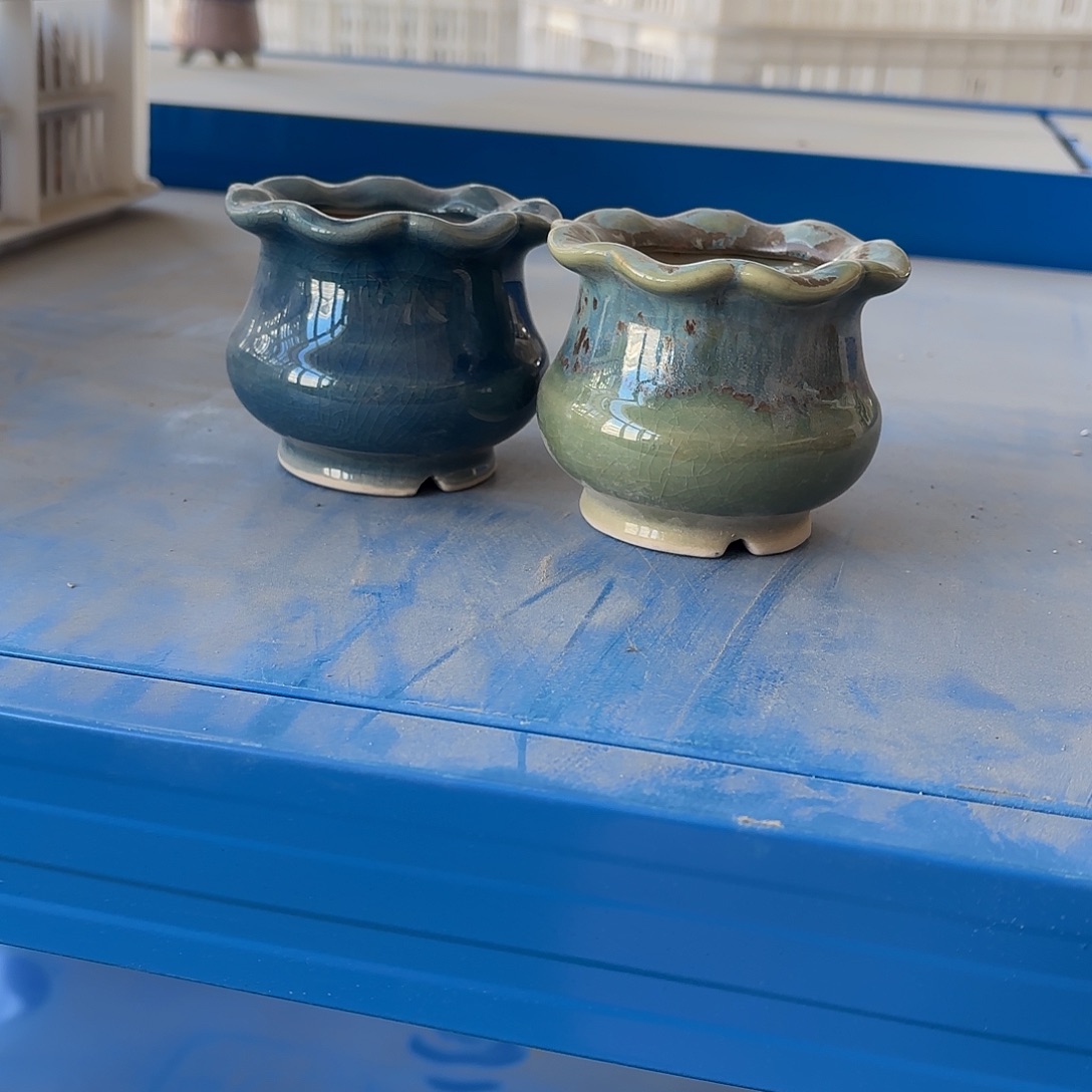 想***静量货/口高深浅搭配发2