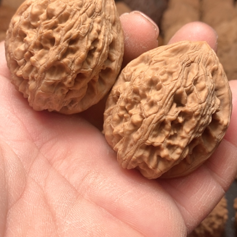 【闪购商品】大古石