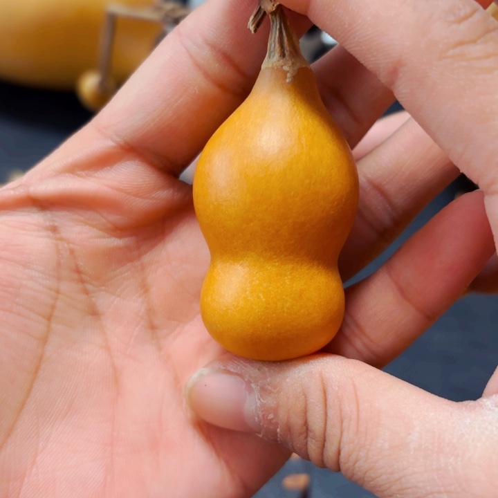 心**陈8888888888888888888