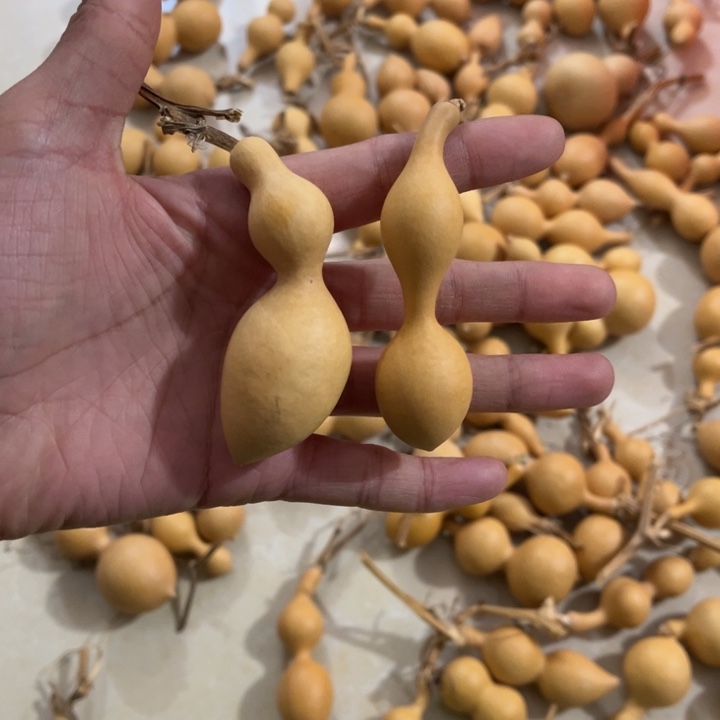 咕噜咕噜咕噜咕噜咕噜