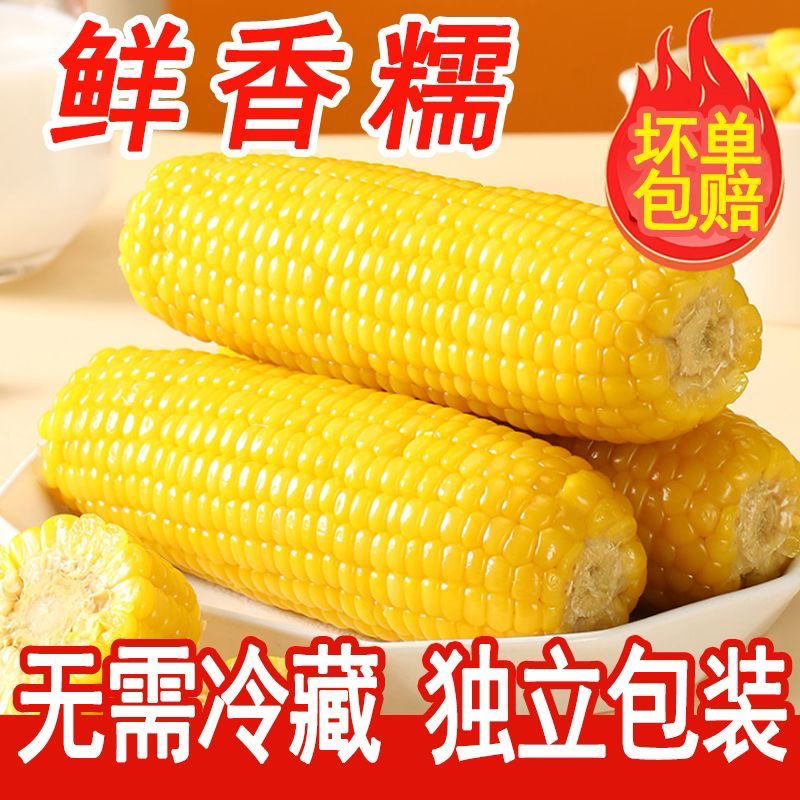 【东北黄糯玉米】东北头茬黄糯玉米真空包装黏玉米蒸煮软糯香甜