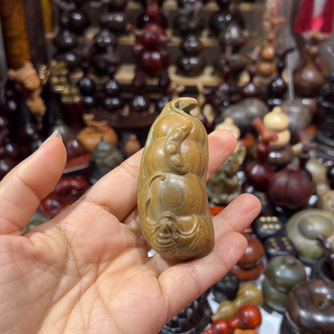 维腊木（绿檀）豆角豆角豆角