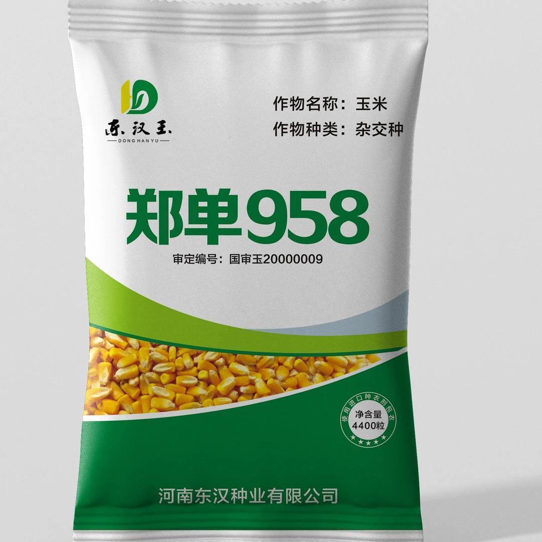 【正品保证】国审郑单958玉米种子抗倒耐高温高产密种植