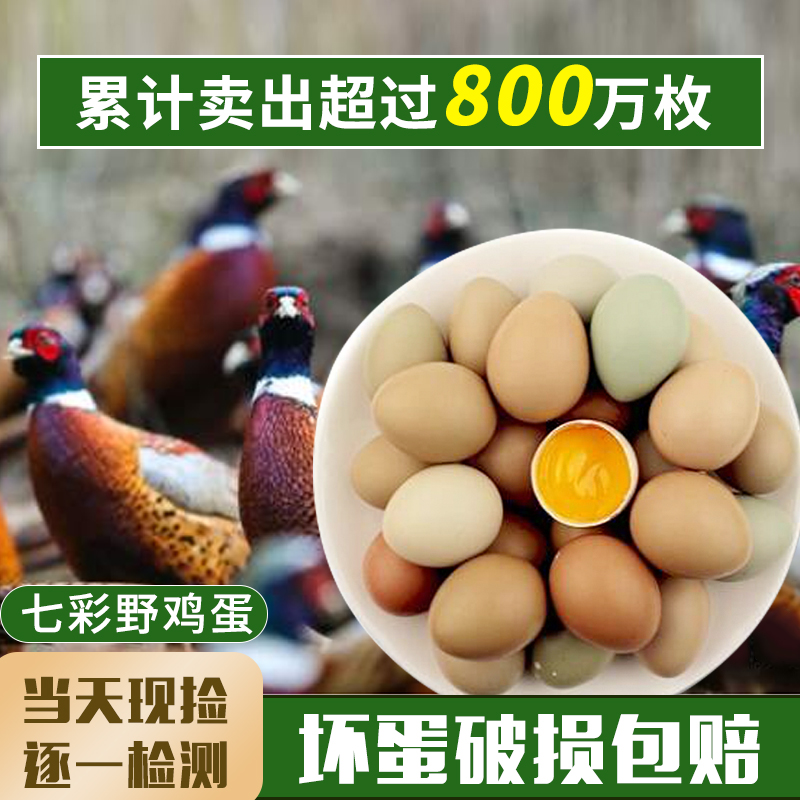 七彩山鸡蛋野山鸡蛋散养鸡蛋新鲜七彩土鸡蛋鸡蛋新鲜营养散养鸡蛋