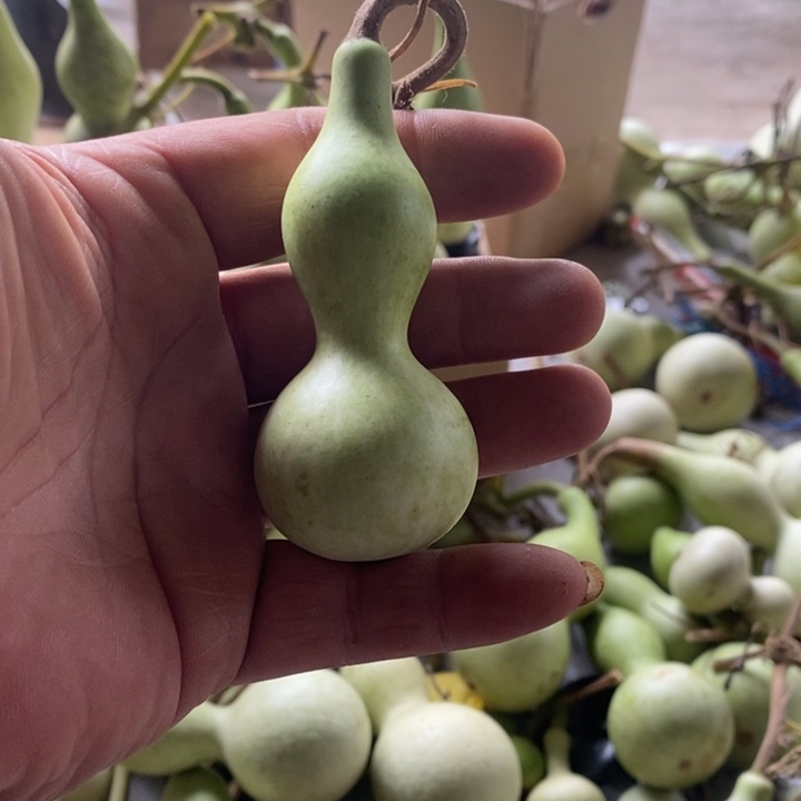 卢***@小心翼翼小心翼翼小心翼翼小心翼翼