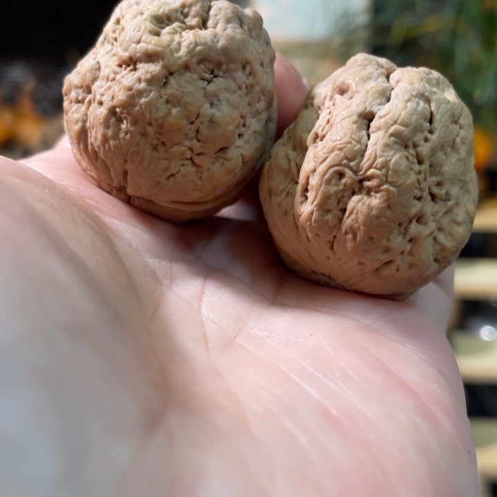 把件文玩核桃编号78